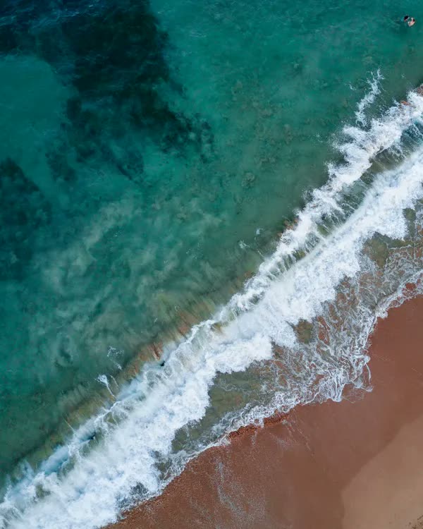 海